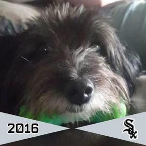 Meet your Posher, Jeff